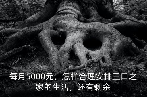 每月5000元，怎樣合理安排三口之家的生活，還有剩余
