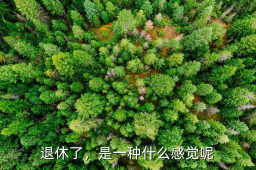 什么叫退休,什么叫退休基本養老金