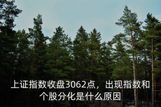 上證指數收盤3062點，出現指數和個股分化是什么原因