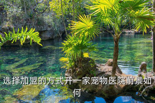 選擇加盟的方式開一家寵物醫院前景如何