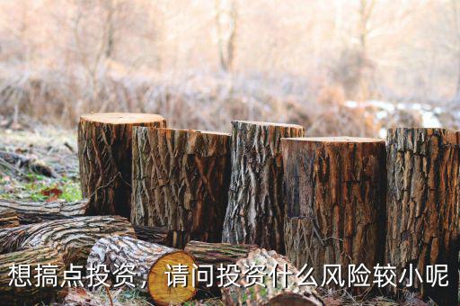 想搞點投資，請問投資什么風險較小呢
