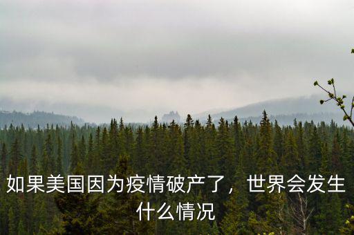 如果美國因為疫情破產了，世界會發生什么情況