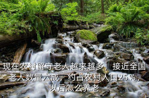 農村老齡化占比多少,約占農村人口25％