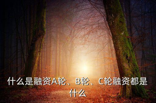 什么是融資A輪、B輪、C輪融資都是什么