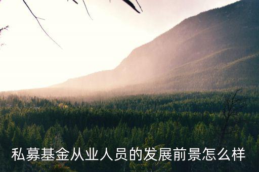 私募基金從業人員的發展前景怎么樣