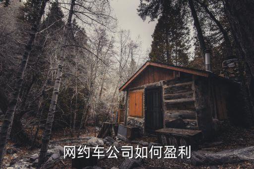 小的租車公司怎么盈利,網約車公司如何盈利