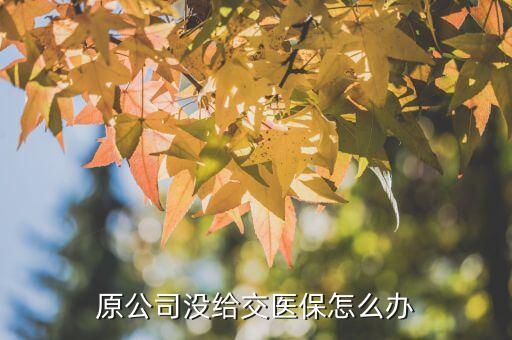 原公司沒給交醫保怎么辦
