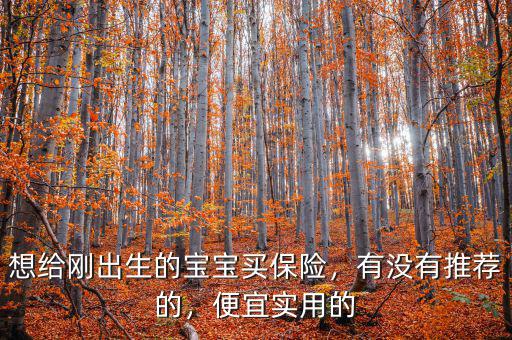 想給剛出生的寶寶買保險，有沒有推薦的，便宜實用的