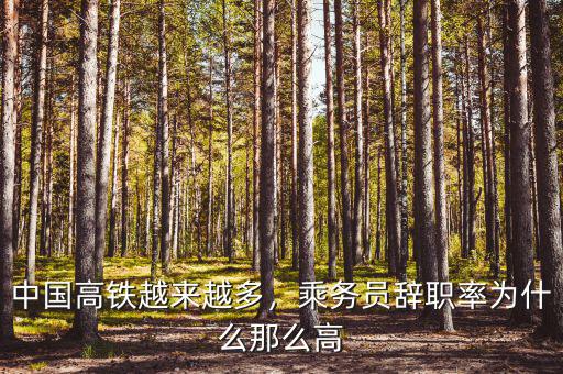 中國高鐵越來越多，乘務員辭職率為什么那么高