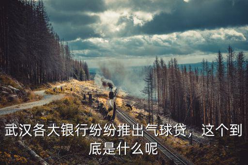 武漢各大銀行紛紛推出氣球貸，這個到底是什么呢