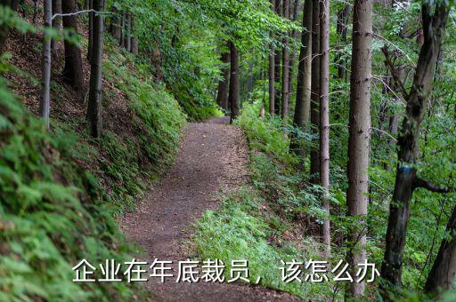 企業硬裁員怎么辦,被裁員怎么辦