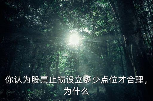 你認為股票止損設立多少點位才合理，為什么