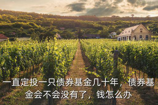 一直定投一只債券基金幾十年，債券基金會不會沒有了，錢怎么辦
