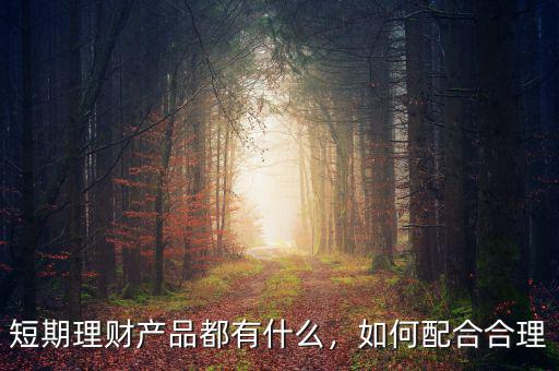 短期理財產品都有什么，如何配合合理