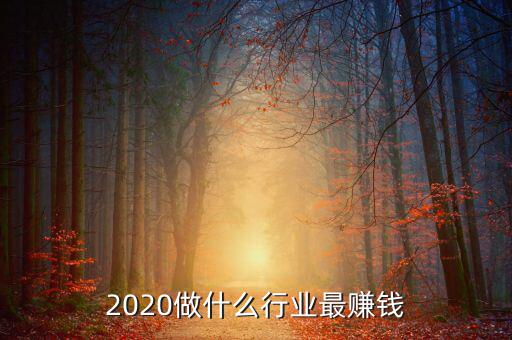 2020做什么行業最賺錢