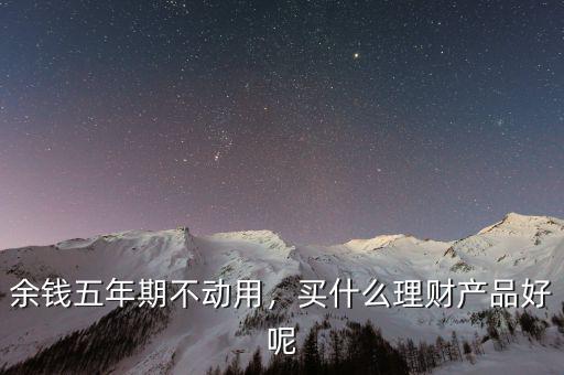 余錢五年期不動用，買什么理財產品好呢