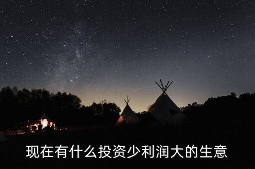 現在有什么投資少利潤大的生意