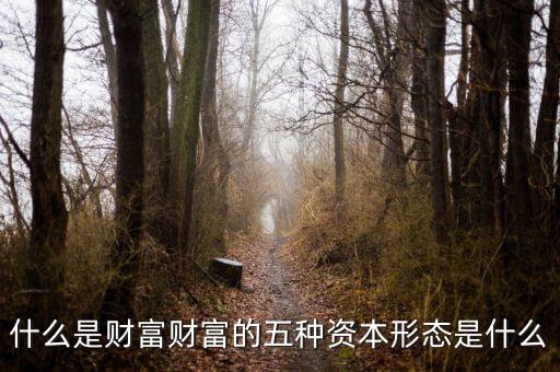 什么是財富財富的五種資本形態是什么