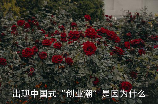 出現中國式“創業潮”是因為什么