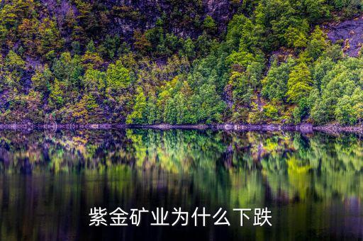 華聯礦業為什么跌,紫金礦業為什么下跌