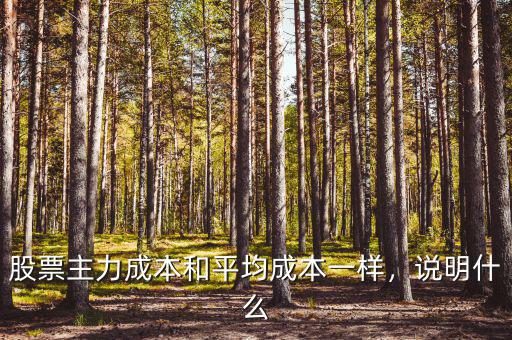 股票主力成本和平均成本一樣，說明什么