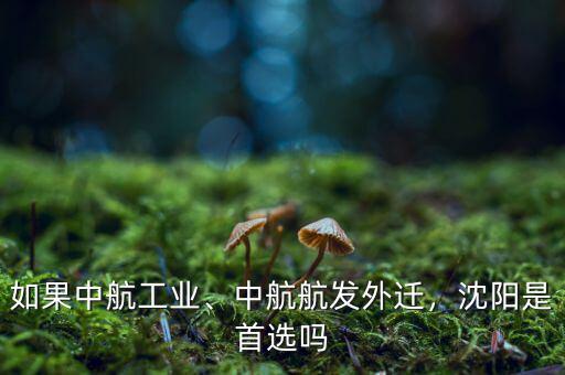 中航工業為什么要收購廈工,中航工業為什么不造單反相機