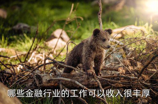 金融什么工作,金融專業的本科畢業生