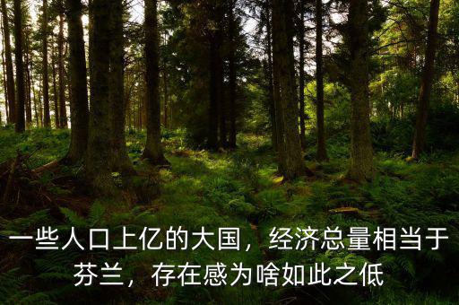 一些人口上億的大國，經濟總量相當于芬蘭，存在感為啥如此之低