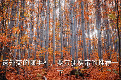 送外交的隨手禮，要方便攜帶的推薦一下