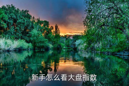 上證指數最高指數怎么看,新手怎么看大盤指數