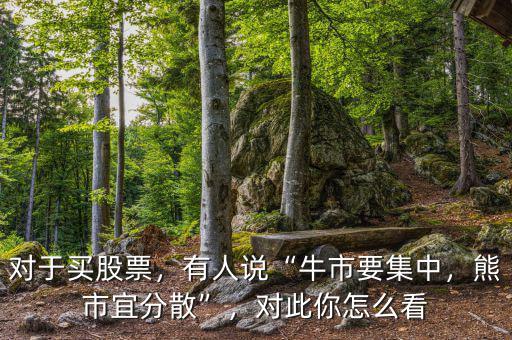 對于買股票，有人說“牛市要集中，熊市宜分散”，對此你怎么看