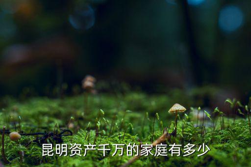 昆明資產千萬的家庭有多少