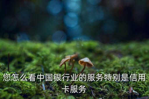 您怎么看中國銀行業的服務特別是信用卡服務