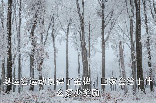 奧運會運動員得了金牌，國家會給于什么多少獎勵