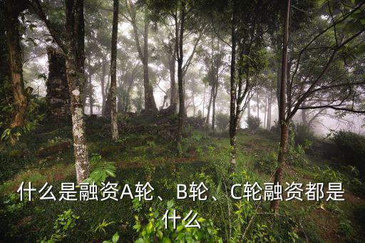 什么是融資A輪、B輪、C輪融資都是什么