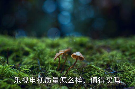 樂視電視質量怎么樣，值得買嗎