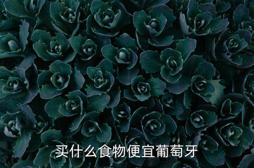 中國人喜歡葡萄牙什么產品,葡萄牙有什么特產