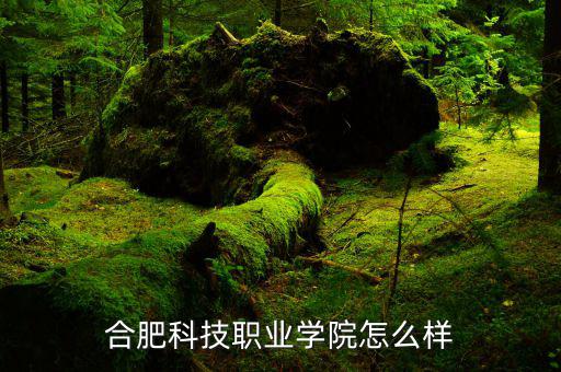 合肥毅昌科技怎么樣,合肥科技職業學院怎么樣