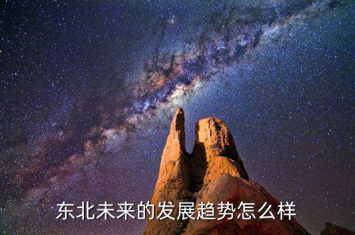 東北未來會怎么樣,東北未來的發展趨勢怎么樣