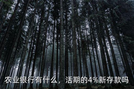 農業銀行個人存款有什么新的優惠,農業銀行有什么