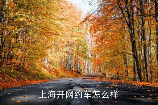上海開網約車怎么樣