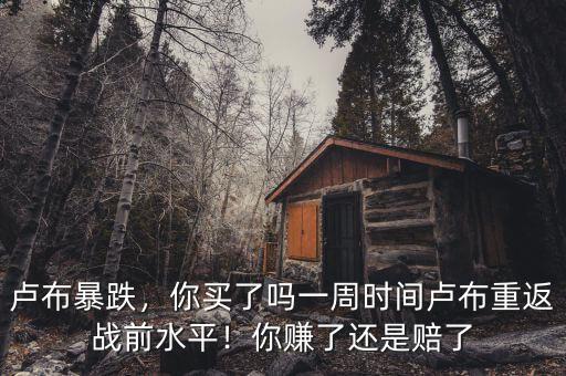 盧布暴跌，你買了嗎一周時間盧布重返戰(zhàn)前水平！你賺了還是賠了