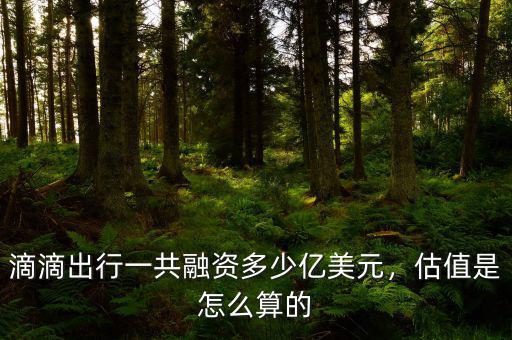 滴滴出行一共融資多少億美元，估值是怎么算的