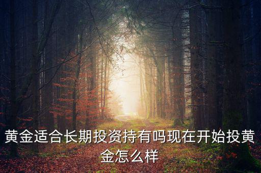 網絡黃金投資怎么樣,現在開始投黃金怎么樣