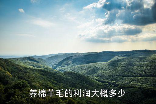 養棉羊毛的利潤大概多少