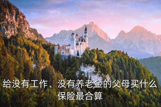 給沒有工作、沒有養老金的父母買什么保險最合算