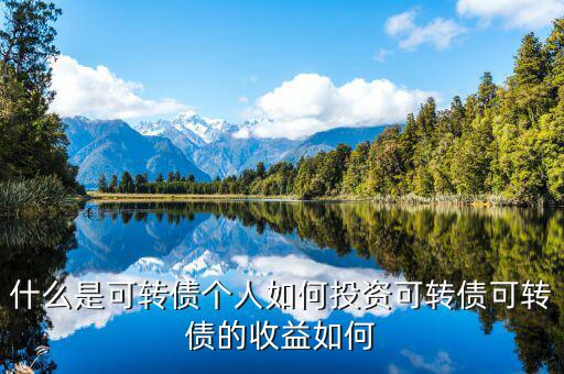 什么人抄可轉債,什么是可轉債