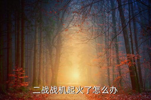 二戰戰機起火了怎么辦