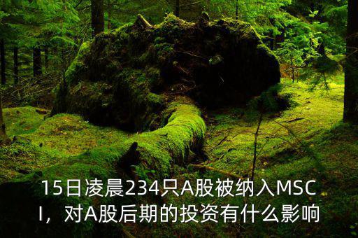 15日凌晨234只A股被納入MSCI，對A股后期的投資有什么影響