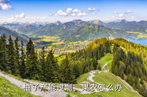 柚子產(chǎn)能過剩，果農(nóng)怎么辦